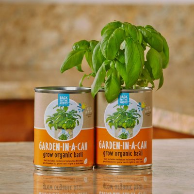 Grow Organic Basil In A Can