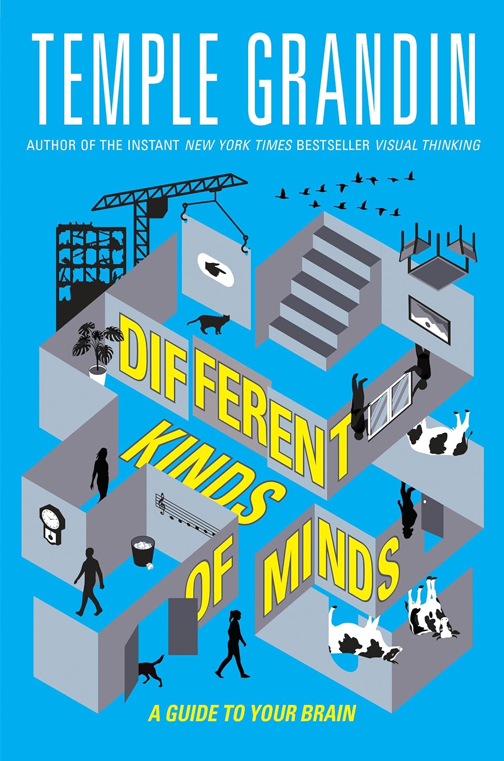 Different Kinds of Minds: A Guide to Your Brain Review