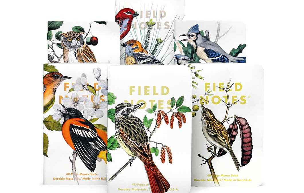 Birds & Trees Field Notes Notebooks